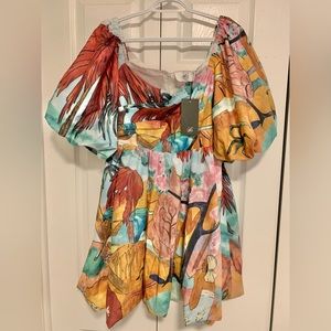 Nwt puff sleeve dress